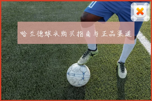 哈兰德球衣购买指南与正品渠道