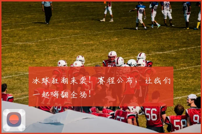 冰球狂潮来袭!赛程公布,让我们一起嗨翻全场!