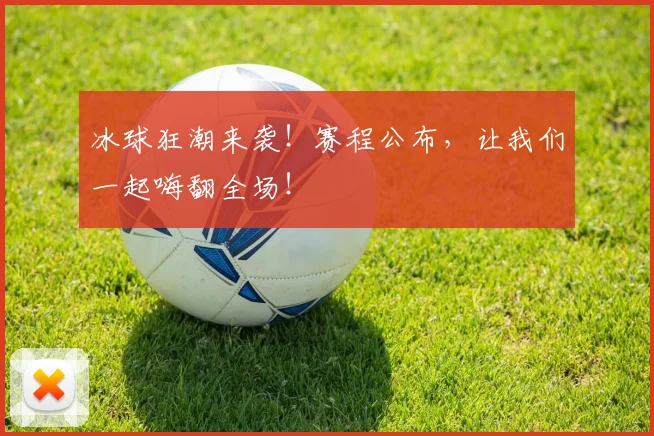 冰球狂潮来袭！赛程公布，让我们一起嗨翻全场！